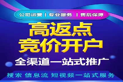 某电商平台信息流竞价策略及成效分析